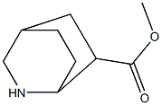 endo-2-aza-bicyclo[2.2.2]octane-6-carboxylic acid methyl ester 结构式