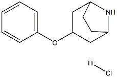 3-phenoxy-8-azabicyclo[3.2.1]octane hydrochloride Struktur