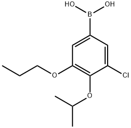 3-氯-4-异丙氧基-5-丙氧基苯基硼酸, 2096339-54-5, 结构式