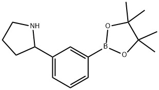 2-[3-(tetramethyl-1,3,2-dioxaborolan-2-yl)phenyl]pyrrolidine Structure