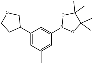 3-Methyl-5-(3-tetrahydrofuranyl)phenylboronic acid pinacol ester,2223004-03-1,结构式
