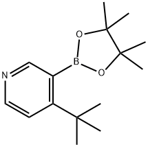 2223012-99-3 4-(tert-Butyl)pyridine-3-boronic acid pinacol ester