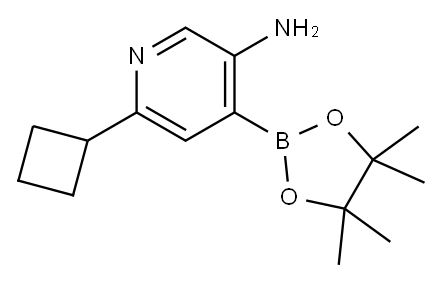 3-Amino-6-(cyclobutyl)pyridine-4-boronic acid pinacol ester Structure