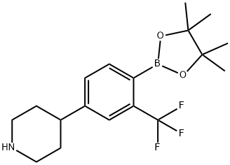 4-(4-(4,4,5,5-tetramethyl-1,3,2-dioxaborolan-2-yl)-3-(trifluoromethyl)phenyl)piperidine Struktur