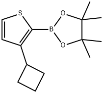 3-Cyclobutylthiophene-2-boronic acid pinacol ester Struktur