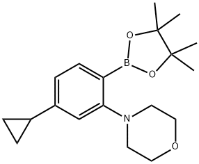 4-(5-cyclopropyl-2-(4,4,5,5-tetramethyl-1,3,2-dioxaborolan-2-yl)phenyl)morpholine 结构式