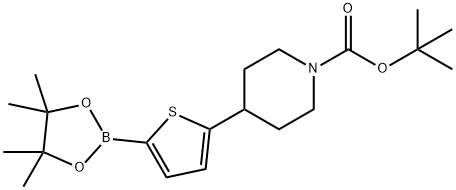 tert-butyl 4-(5-(4,4,5,5-tetramethyl-1,3,2-dioxaborolan-2-yl)thiophen-2-yl)piperidine-1-carboxylate 结构式