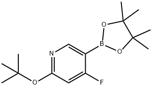 4-Fluoro-2-(tert-butoxy)pyridine-5-boronic acid pinacol ester Structure