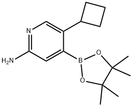 2-Amino-5-cyclobutylpyridine-4-boronic acid pinacol ester, 2223047-16-1, 结构式