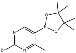 2-Bromo-4-methylpyrimidine-5-boronic acid pinacol ester Struktur