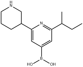 2-(sec-Butyl)-6-(piperidin-3-yl)pyridine-4-boronic acid Struktur