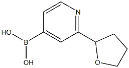 2-(2-TETRAHYDROFURANYL)PYRIDINE-4-BORONIC ACID Struktur