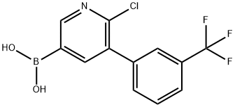 6-Chloro-5-(3-trifluoromethylphenyl)pyridine-3-boronic acid 结构式