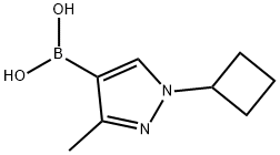 3-Methyl-1-(cyclobutyl)pyrazole-4-boronic acid,2225172-69-8,结构式