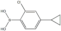 (2-chloro-4-cyclopropylphenyl)boronic acid Structure