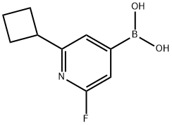 2-Fluoro-6-(cyclobutyl)pyridine-4-boronic acid 结构式