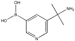 (5-(2-aminopropan-2-yl)pyridin-3-yl)boronic acid|(5-(2-氨基丙-2-基)吡啶-3-基)硼酸