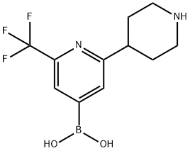 2-Trifluoromethyl-6-(piperidin-4-yl)pyridine-4-boronic acid Struktur