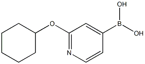 2-(Cyclohexyloxy)pyridine-4-boronic acid Structure