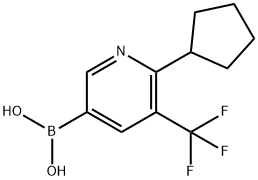 2225178-42-5 6-Cyclopentyl-5-trifluoromethylpyridine-3-boronic acid