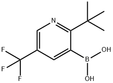 2-(tert-Butyl)-5-(trifluoromethyl)pyridine-3-boronic acid Struktur