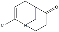 8-氯-1-氮杂双环[3.3.1]壬-7-烯-4-酮, 2226023-41-0, 结构式
