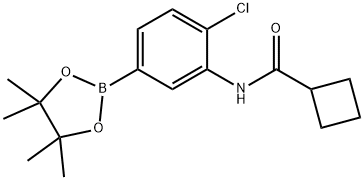 2246693-75-2 4-氯-3-(环丁基甲酰氨基)苯硼酸频哪醇酯