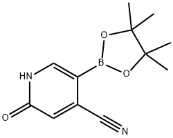 2-hydroxy-5-(4,4,5,5-tetramethyl-1,3,2-dioxaborolan-2-yl)isonicotinonitrile 结构式