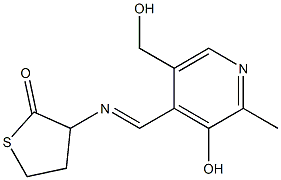 N-(2-Methyl-3-Hydroxy-5-Hydroxymethyl-4- Pyridylmethylidene)-Homocysteine Thiolactone Structure
