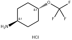 trans-4-Trifluoromethoxy-cyclohexylamine hydrochloride Structure