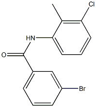 3-bromo-N-(3-chloro-2-methylphenyl)benzamide Structure