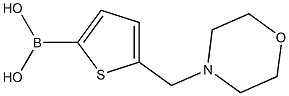 [5-(4-MORPHOLINYLMETHYL)-2-THIENYL]-BORONIC ACID Struktur