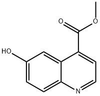 6-羟基喹啉-4-羧酸甲酯 结构式