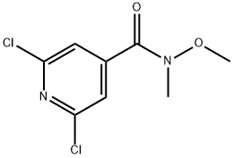 2,6-dichloro-N-methoxy-N-methylisonicotinamide Struktur
