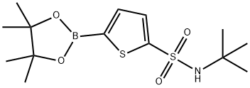 N-tert-Butyl-5-(4,4,5,5-tetramethyl-1,3,2-dioxaborolan-2-yl)thiophene-2-sulfonamide Structure
