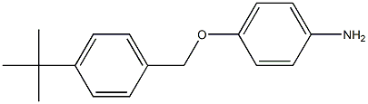 4-[(4-tert-butylphenyl)methoxy]aniline 结构式