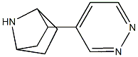 2-(pyridazin-4-yl)-7-azabicyclo(2.2.1)heptane