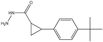 2-(4-TERT-BUTYLPHENYL)CYCLOPROPANECARBOHYDRAZIDE Structure