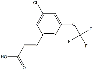 (E)-3-(3-chloro-5-(trifluoromethoxy)phenyl)acrylic acid 化学構造式