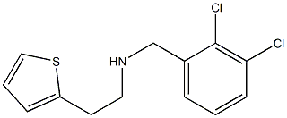 [(2,3-dichlorophenyl)methyl][2-(thiophen-2-yl)ethyl]amine Structure