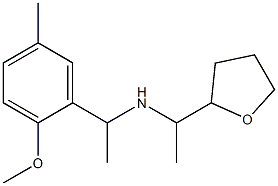[1-(2-methoxy-5-methylphenyl)ethyl][1-(oxolan-2-yl)ethyl]amine
