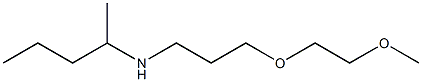  [3-(2-methoxyethoxy)propyl](pentan-2-yl)amine