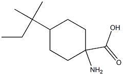 1-amino-4-(1,1-dimethylpropyl)cyclohexanecarboxylic acid Structure