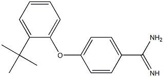 4-(2-tert-butylphenoxy)benzene-1-carboximidamide