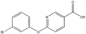 6-(3-BROMOPHENOXY)NICOTINIC ACID, , 结构式