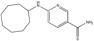 6-(cyclooctylamino)pyridine-3-carbothioamide