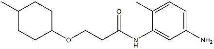 N-(5-amino-2-methylphenyl)-3-[(4-methylcyclohexyl)oxy]propanamide Struktur
