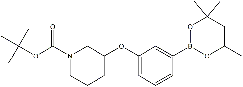 tert-Butyl 3-[3-(4,4,6-trimethyl-1,3,2-dioxaborinan-2-yl)phenoxy]piperidine-1-carboxylate
