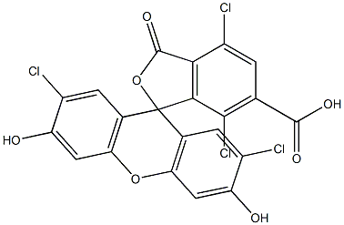  6-carboxy-4,7,2',7'-tetrachlorofluorescein