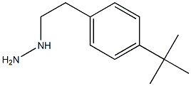 1-(4-tert-butylphenethyl)hydrazine Struktur